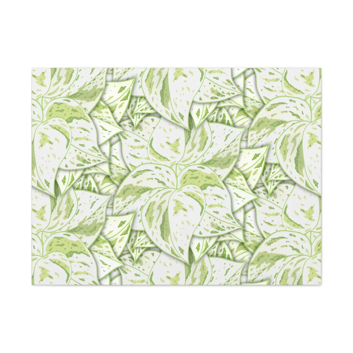 Snow Queen Pothos Canvas – Matte Finish Canvas Art Print | Variegated Botanical Wall Decor