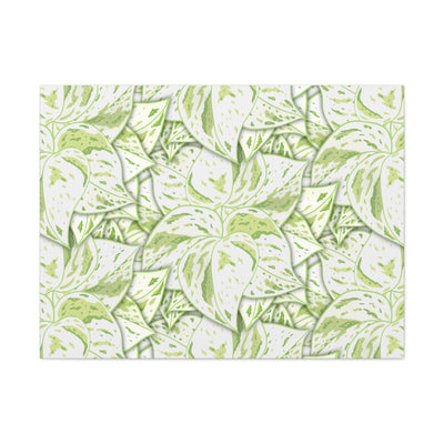 Snow Queen Pothos Canvas