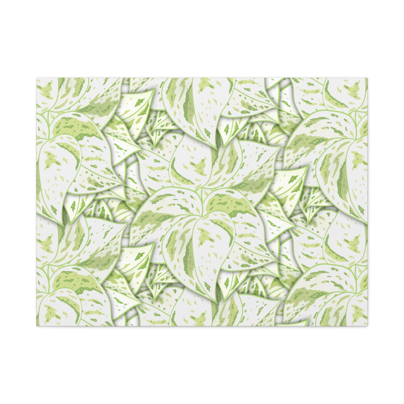 Snow Queen Pothos Canvas