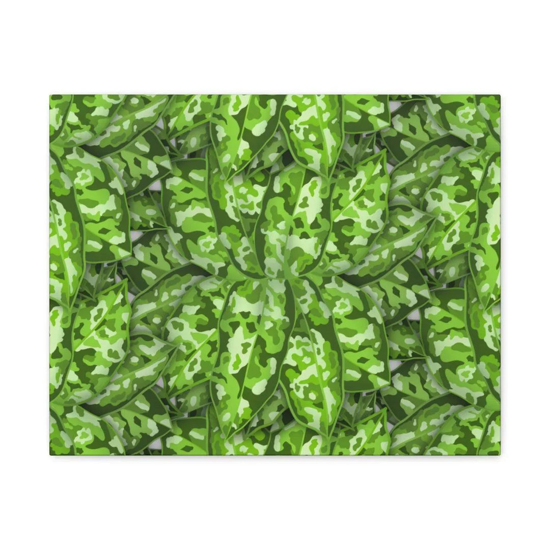 Aglaonema Pictum Tricolor Canvas, Canvas, Laura Christine Photography & Design, Art & Wall Decor, Canvas, Hanging Hardware, Home & Living, Indoor, Laura Christine Photography & Design, laurachristinedesign.com