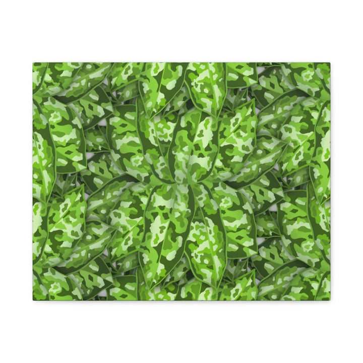 Aglaonema Pictum Tricolor Canvas, Canvas, Laura Christine Photography & Design, Art & Wall Decor, Canvas, Hanging Hardware, Home & Living, Indoor, Laura Christine Photography & Design, laurachristinedesign.com