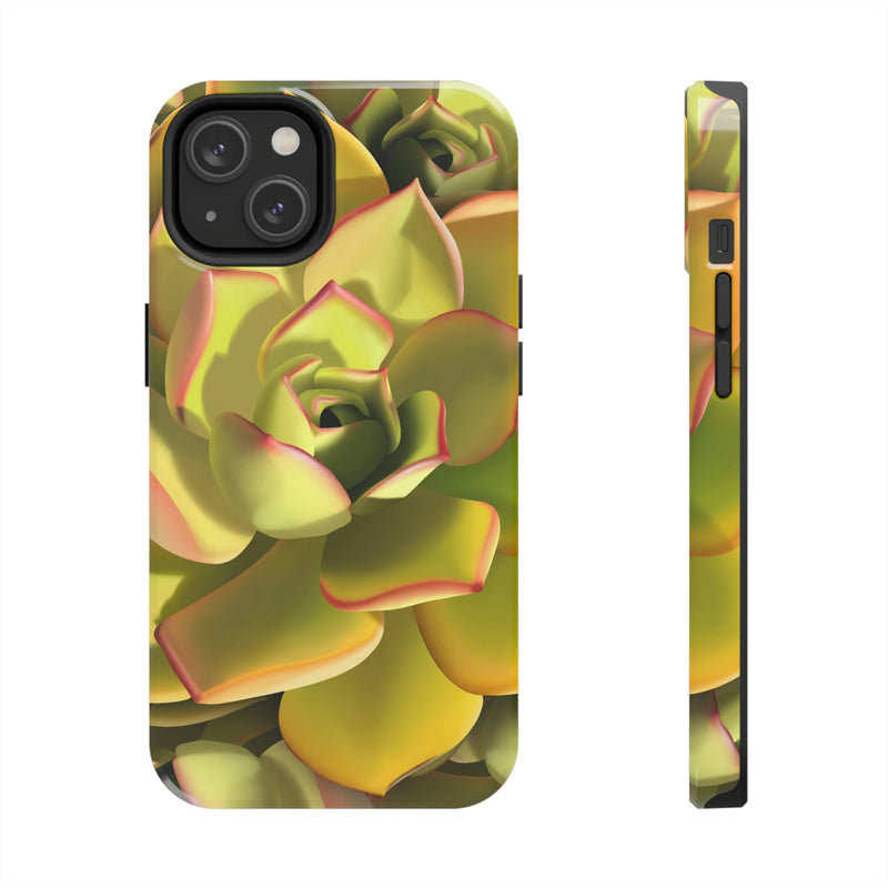 Noble Aeonium Succulent Phone Case, Phone Case, Printify, Accessories, Glossy, iPhone Cases, Matte, Phone accessory, Phone Cases, Samsung Cases, Laura Christine Photography & Design, laurachristinedesign.com