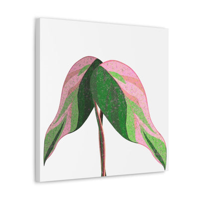 Pink Princess Philodendron Canvas, Canvas, Laura Christine Photography & Design, Art & Wall Decor, Canvas, Hanging Hardware, Home & Living, Indoor, Laura Christine Photography & Design, laurachristinedesign.com