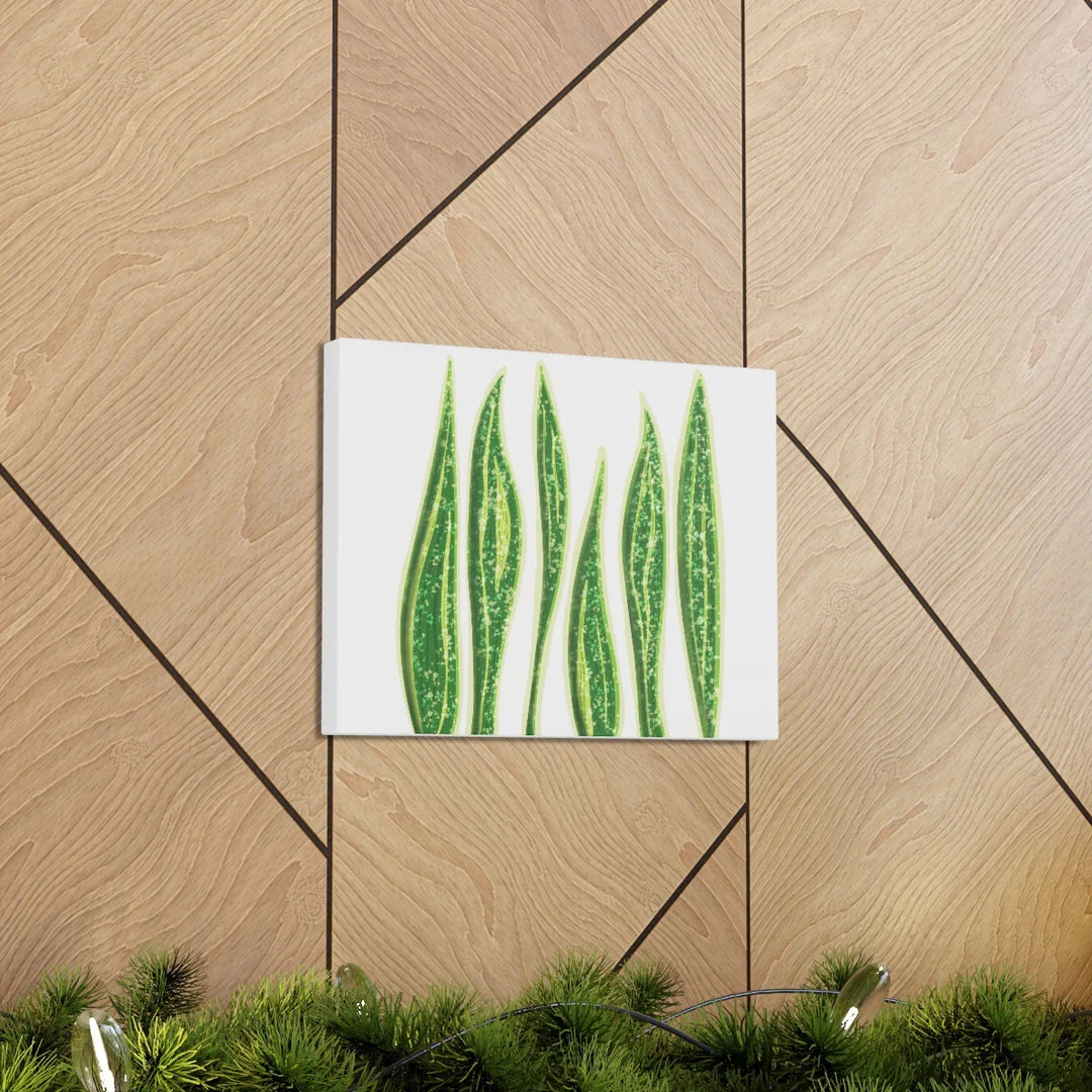 Snake Plant Canvas | Botanical Canvas Decor - Matte Finish Artwork for Living Room - Laura Christine Photography & Design