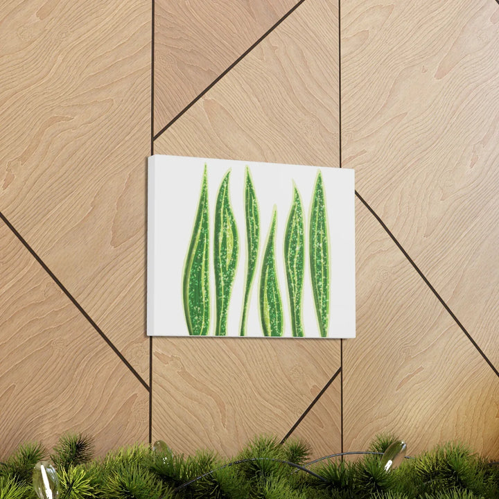 Snake Plant Canvas | Botanical Canvas Decor - Matte Finish Artwork for Living Room - Laura Christine Photography & Design