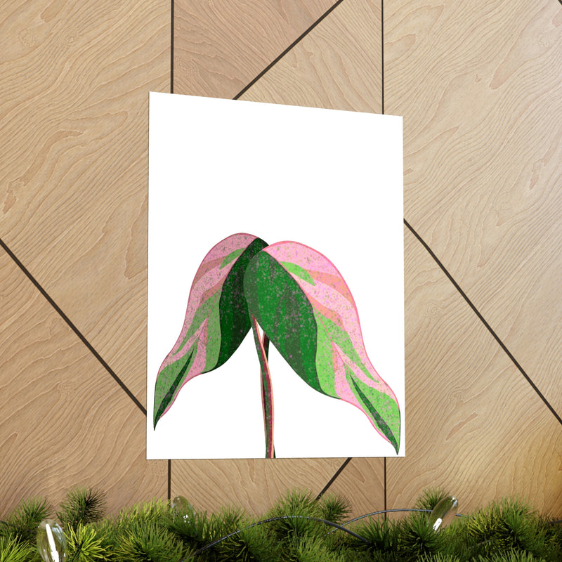 Pink Princess Philodendron Print