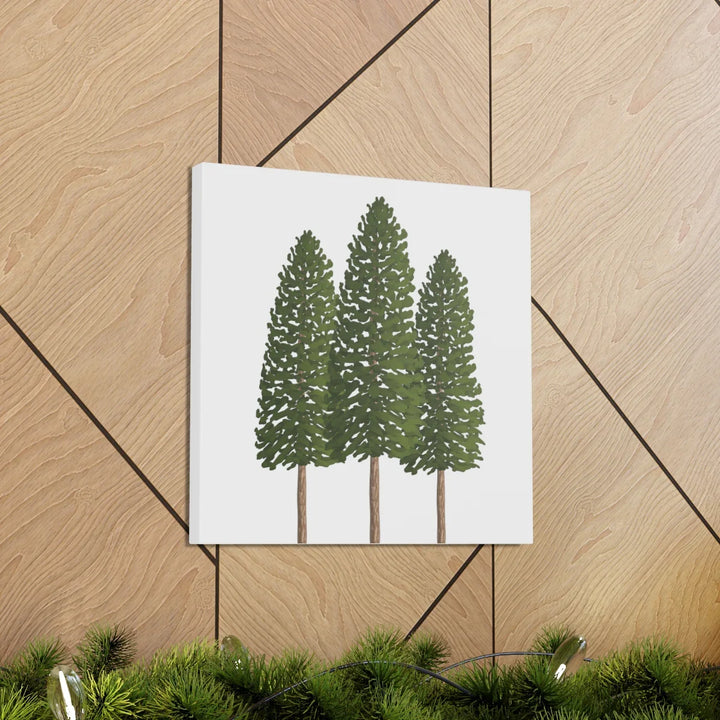 Ponderosa Pine Canvas - Large Stretched Cotton Canvas Art Print With Matte Finish