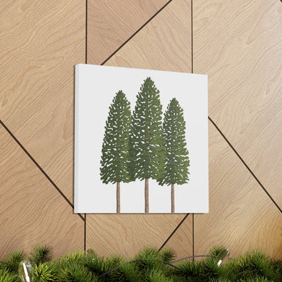 Ponderosa Pine Canvas