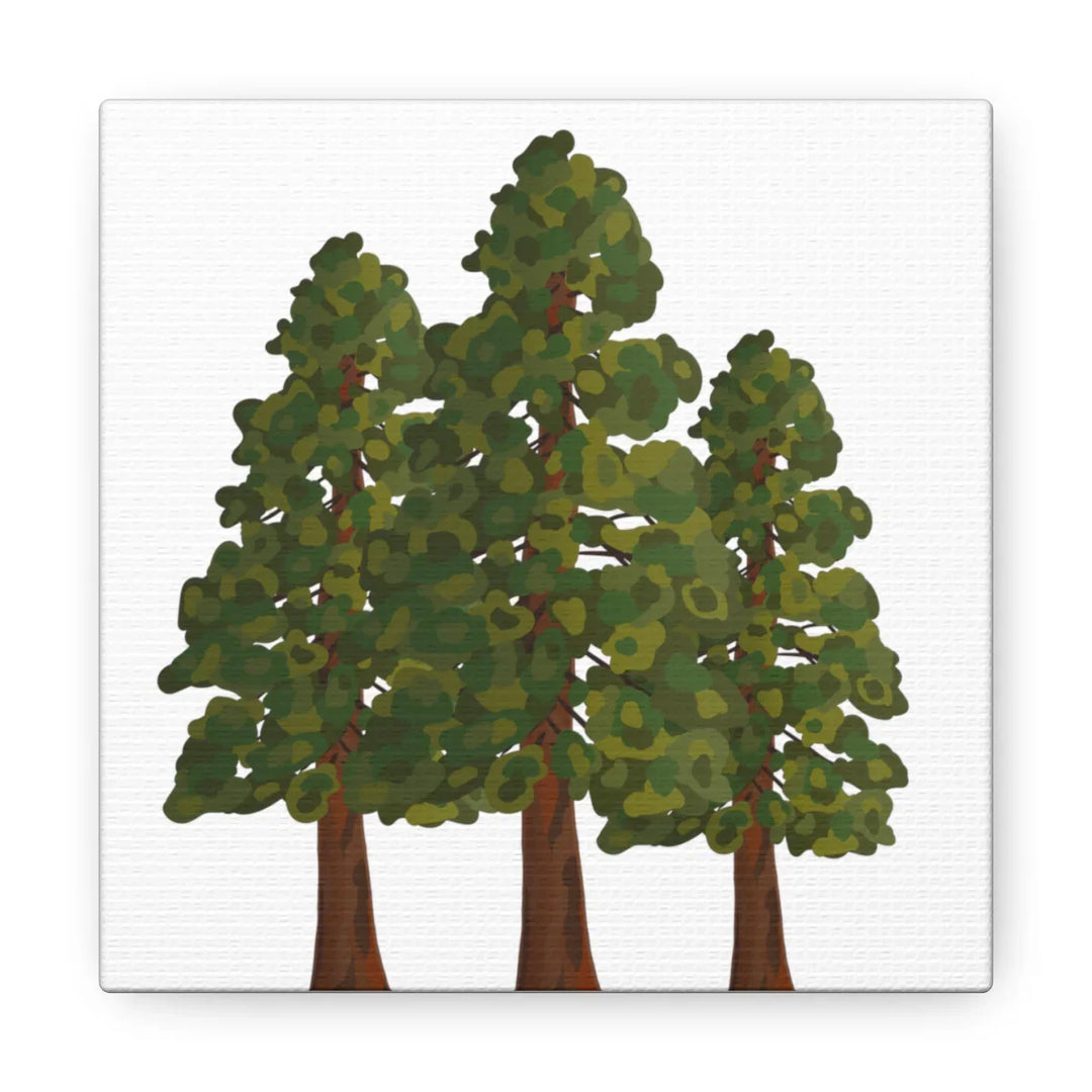 Coastal Redwoods Canvas - Stretched Cotton Canvas Art Print | Matte Finish Wall Hanging Artwork