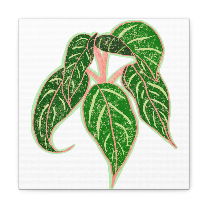 Aglaonema Plant Canvas | Sparkling Plant Artwork - Colorfast Canvas Art Print Decor