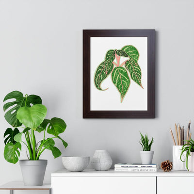 Sparkling Sarah Agalonema (Chinese Evergreen) Framed Print, Poster, Laura Christine Photography & Design, Aglaonema, Bottle, Canvas Bag, Chinese Evergreen, Coffee, Drinkware, Framed, Home & Living, Indoor, Paper, Posters, Reusable, Shopping Bag, Sparklng Sarah, Tea, Tote Bag, Travel, Tumbler, Water, Laura Christine Photography & Design, laurachristinedesign.com