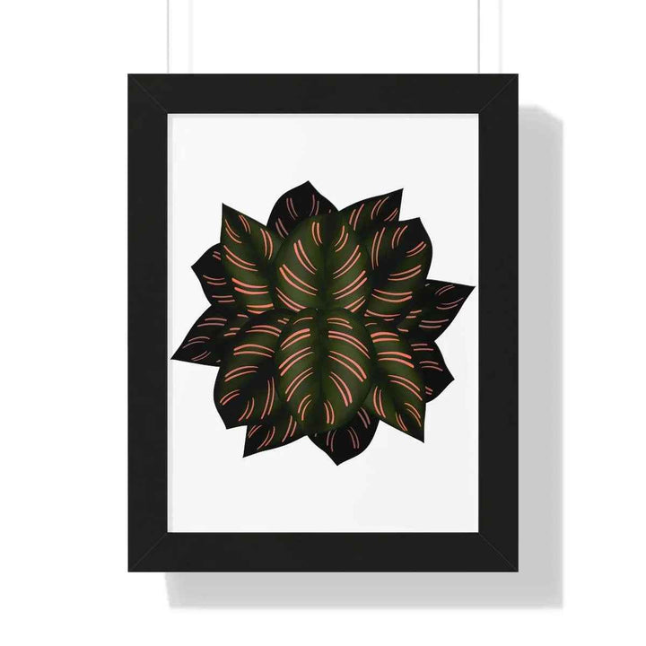 Calathea Pinstripe Print - Framed Botanical Art With Matte Finish & Acrylic Cover