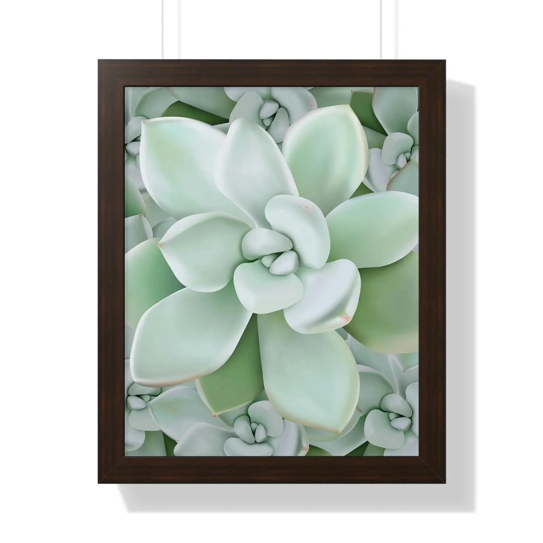 Pachyveria Haagei Succulent Pattern Framed Print, Poster, Printify, Framed, Home & Living, Indoor, Paper, Posters, Laura Christine Photography & Design, laurachristinedesign.com