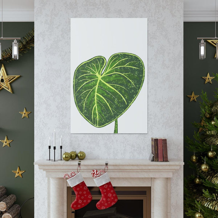 Philodendron Gloriosum Canvas - Stretched Canvas Art Print | Matte Indoor Wall Art - Laura Christine Photography & Design