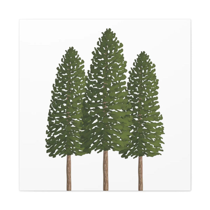 Ponderosa Pine Canvas - Large Stretched Cotton Canvas Art Print With Matte Finish