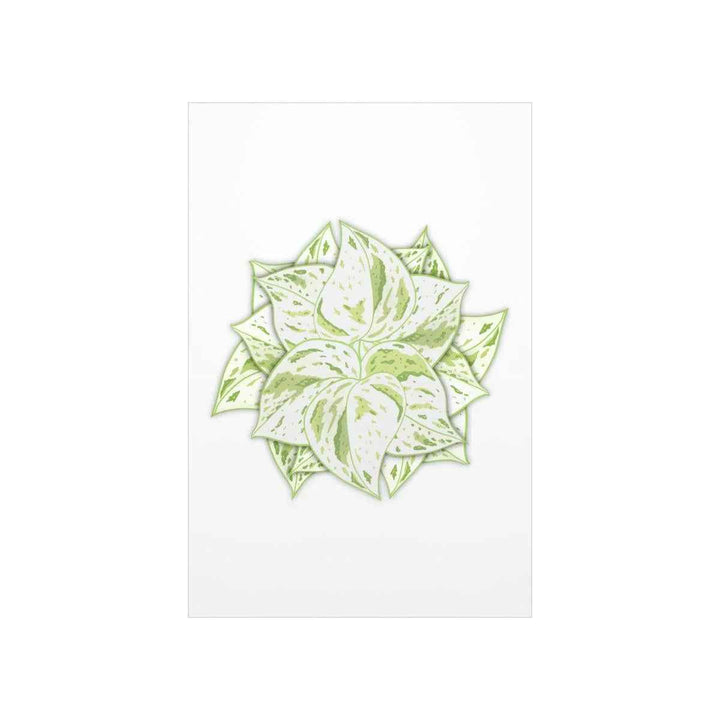 Snow Queen Pothos Print – Variegated Pothos Art on Museum Grade Paper Unframed