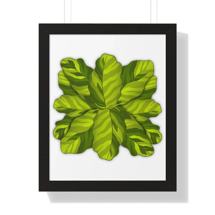 Calathea Yellow Fusion Framed Print, Poster, Laura Christine Photography & Design, Bottle, Calathea, Canvas Bag, Coffee, Drinkware, Framed, Home & Living, Indoor, Paper, Posters, Prayer Plant, Reusable, Shopping Bag, Tea, Tote Bag, Travel, Tumbler, Water, Yellow Fusion, Laura Christine Photography & Design, laurachristinedesign.com