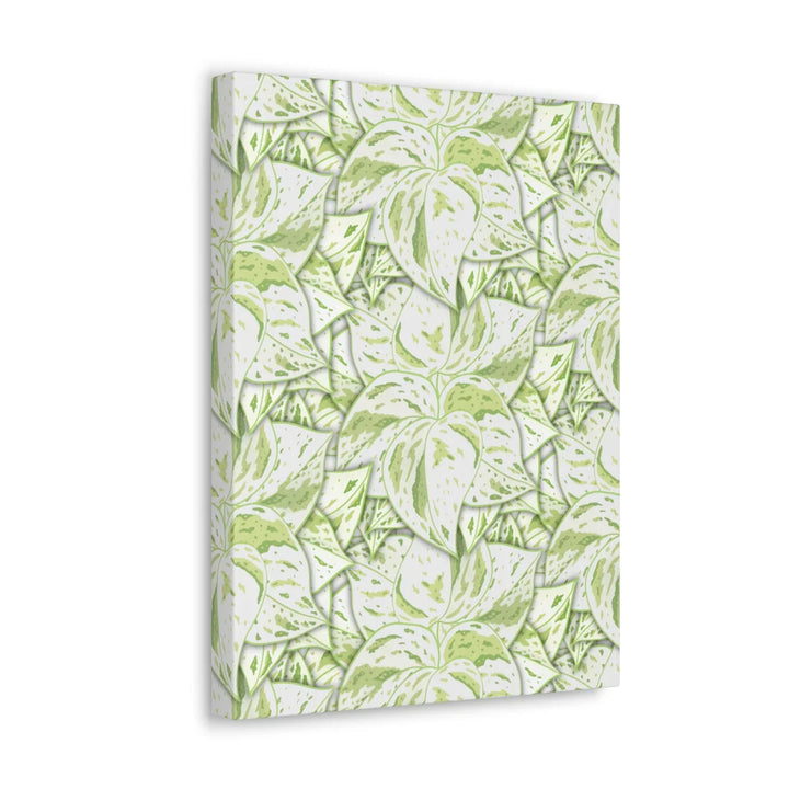 Snow Queen Pothos Canvas – Matte Finish Canvas Art Print | Variegated Botanical Wall Decor