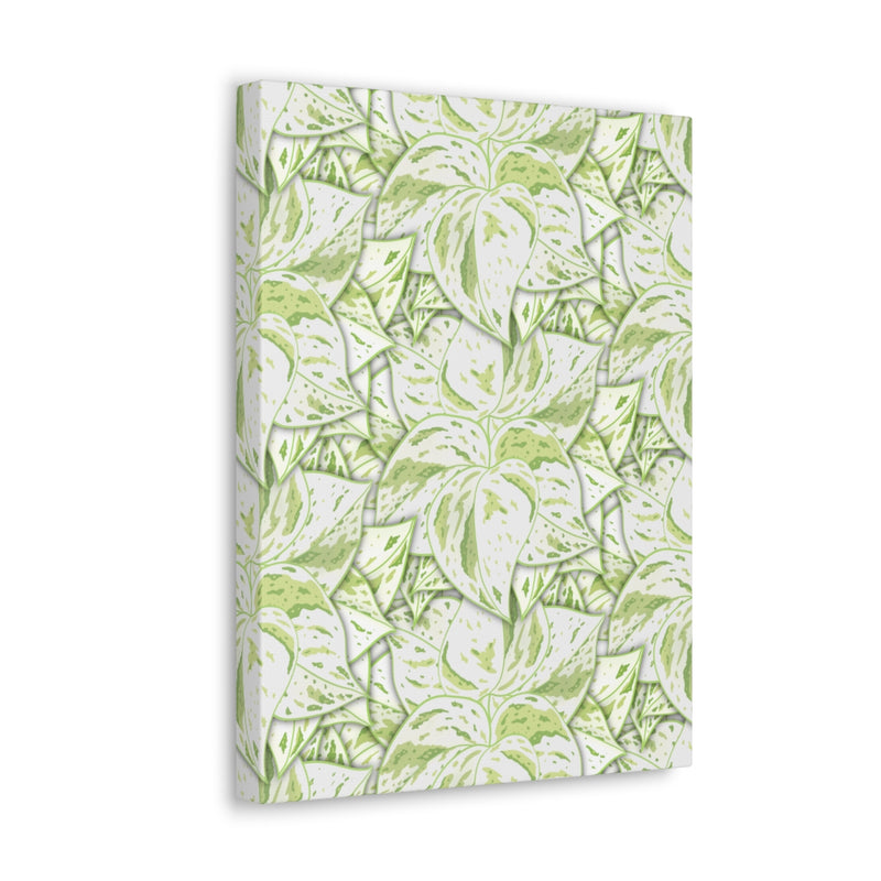 Snow Queen Pothos Canvas