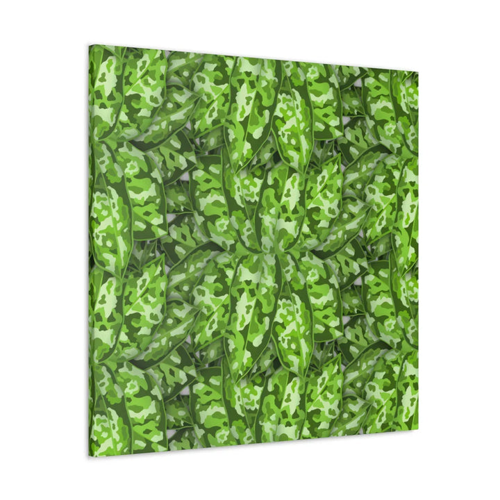 Aglaonema Pictum Canvas - Rare Camouflage Leaf Print Canvas Art Print