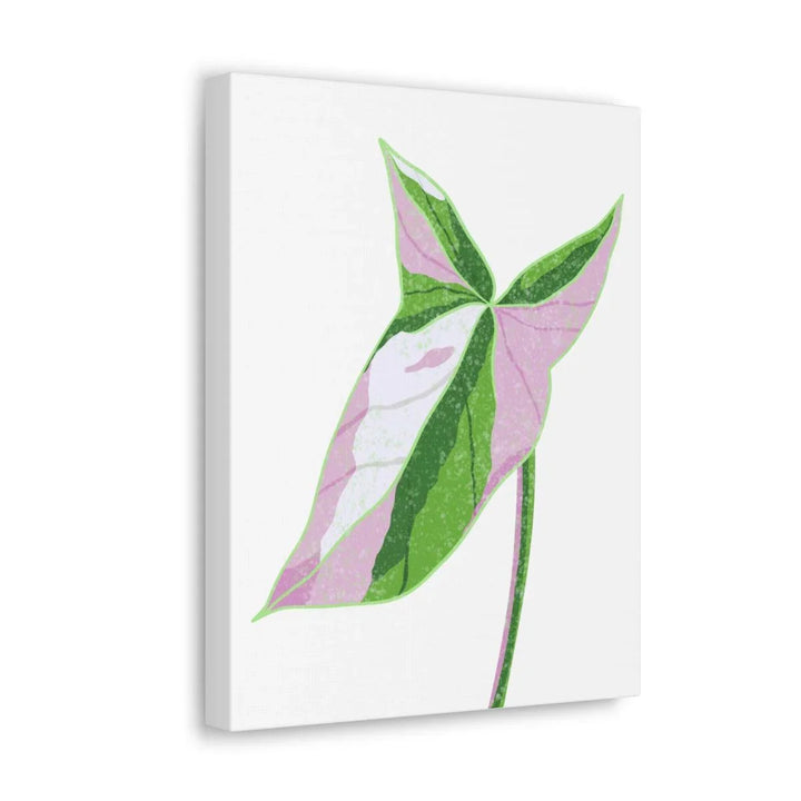 Syngonium Tricolor Canvas | Botanical Canvas Art Print With Matte Finish - Laura Christine Photography & Design