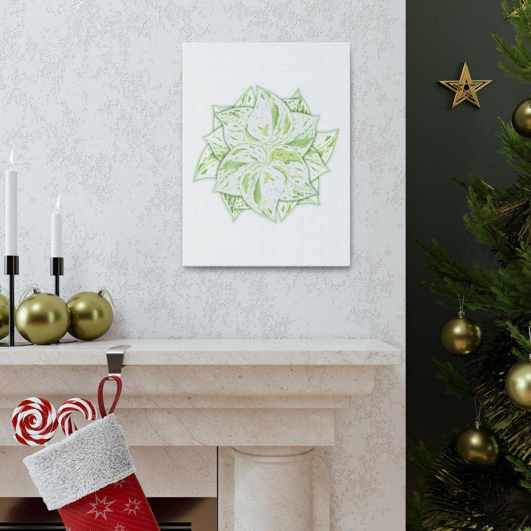 Snow Queen Pothos Canvas – Variegated Leaf Canvas Art Print | Durable Cotton - Laura Christine Photography & Design