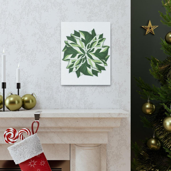 Calathea White Fusion Canvas | Indoor Wall Art - Matte Finish Botanical Canvas Art Print - Laura Christine Photography & Design