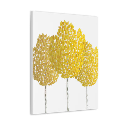 Fall Aspen Canvas