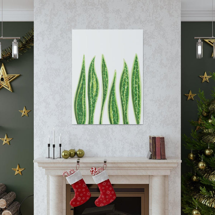 Snake Plant Canvas | Botanical Canvas Decor - Matte Finish Artwork for Living Room - Laura Christine Photography & Design
