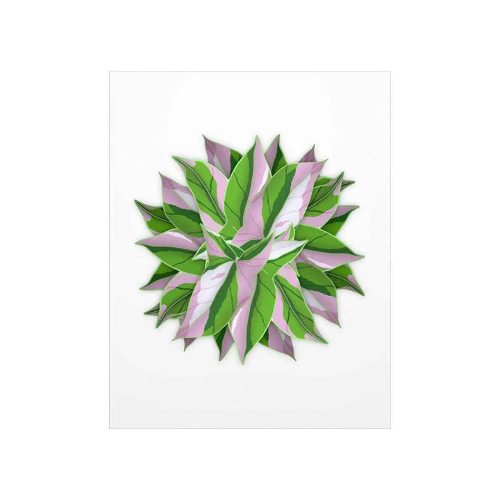 Tricolor Syngonium Print - Botanical Poster on Museum Grade Paper | Archival Ink Unframed
