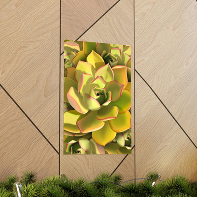 Noble Aeonium Succulent Pattern Print, Poster, Printify, Back to School, Home & Living, Indoor, Matte, Paper, Posters, Valentine's Day promotion, Laura Christine Photography & Design, laurachristinedesign.com