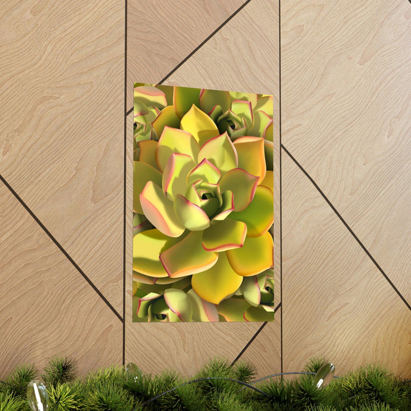 Noble Aeonium Succulent Pattern Print, Poster, Printify, Back to School, Home & Living, Indoor, Matte, Paper, Posters, Valentine&