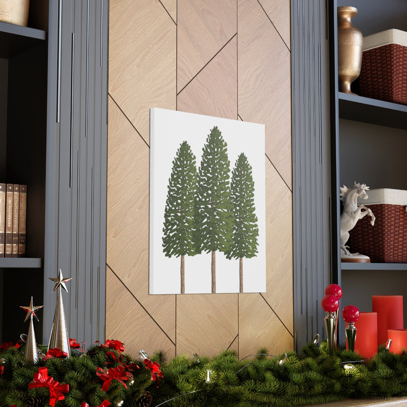 Ponderosa Pine Canvas