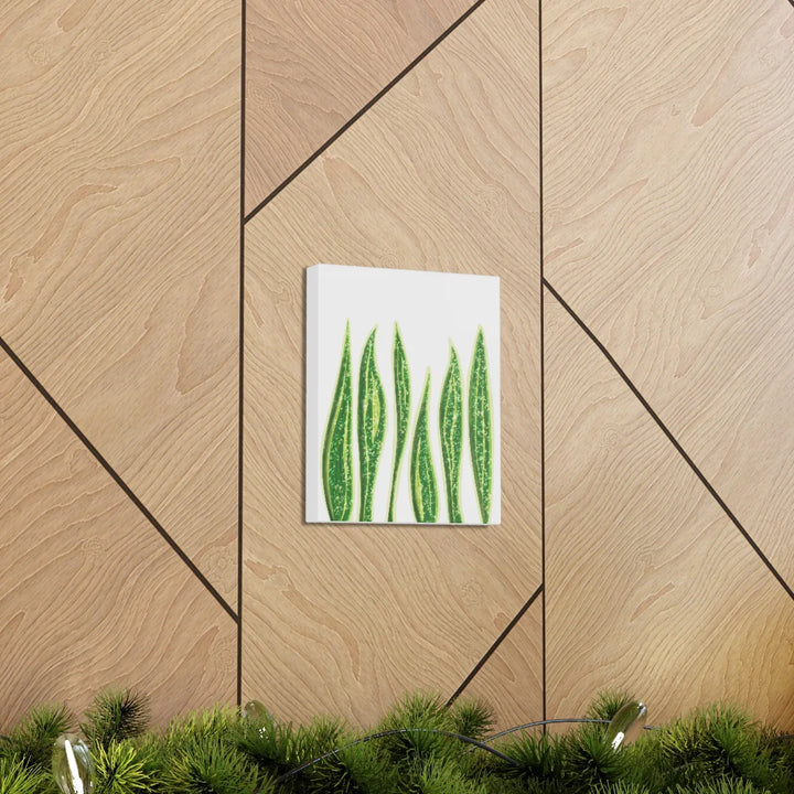 Snake Plant Canvas | Botanical Canvas Decor - Matte Finish Artwork for Living Room - Laura Christine Photography & Design