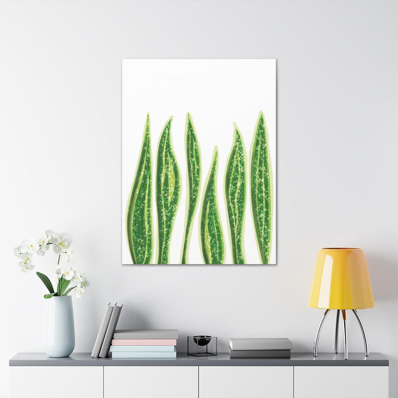 Snake Plant Canvas, Canvas, Laura Christine Photography & Design, Art & Wall Decor, Canvas, Hanging Hardware, Home & Living, Indoor, Laura Christine Photography & Design, 