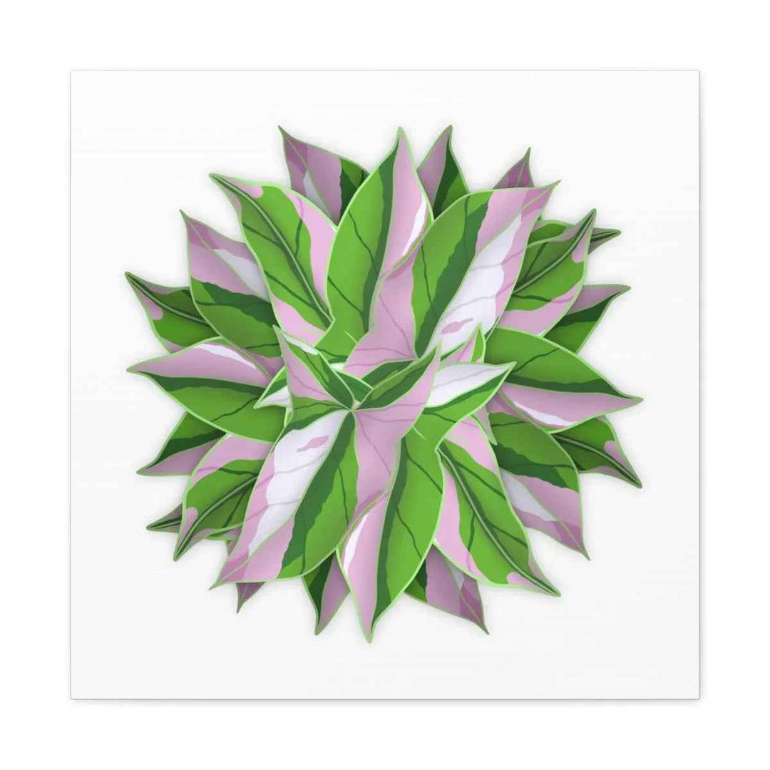 Tricolor Syngonium Canvas - Durable Canvas Art Print With Matte Finish & Botanical Design