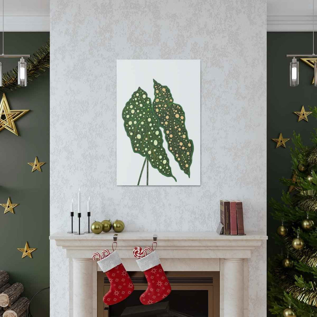 Begonia Maculata Canvas | Premium Canvas Art Print - Matte Finish, Durable Wall Decor