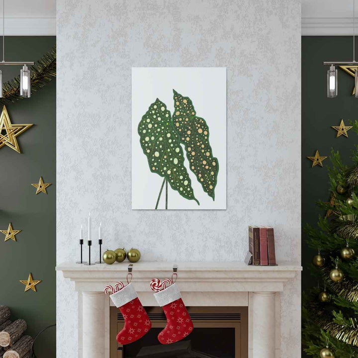Begonia Maculata Canvas | Premium Canvas Art Print - Matte Finish, Durable Wall Decor
