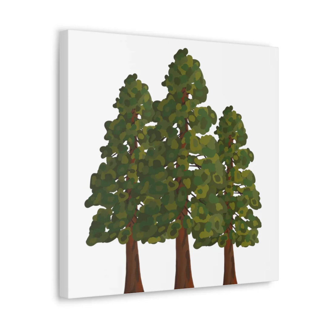 Coastal Redwoods Canvas - Stretched Cotton Canvas Art Print | Matte Finish Wall Hanging Artwork