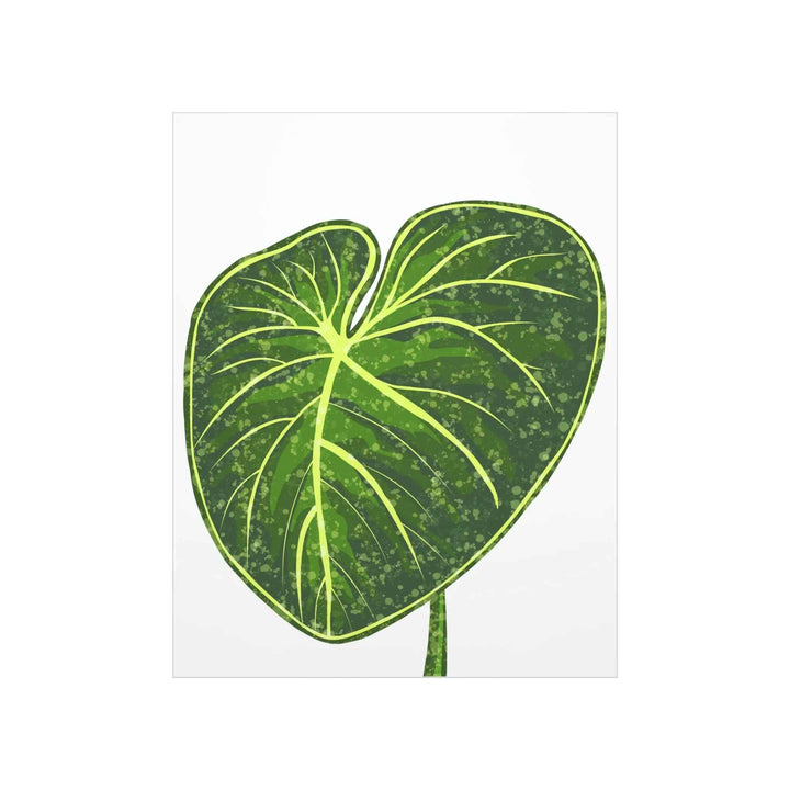 Philodendron Gloriosum Print Botanical Wall Art – Tropical Leaf Poster on Museum-Grade Paper Unframed