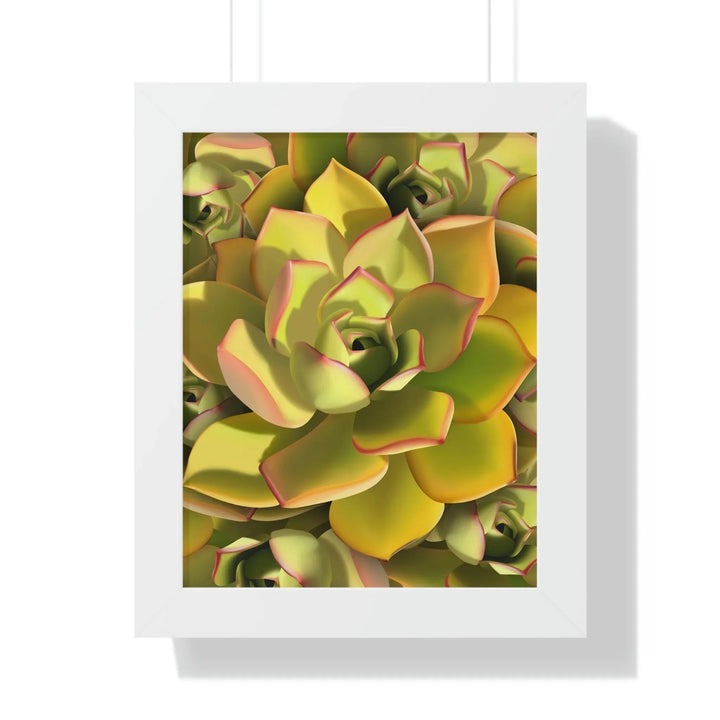 Noble Aeonium Succulent Pattern Framed Print, Poster, Printify, Framed, Home & Living, Indoor, Paper, Posters, Laura Christine Photography & Design, laurachristinedesign.com