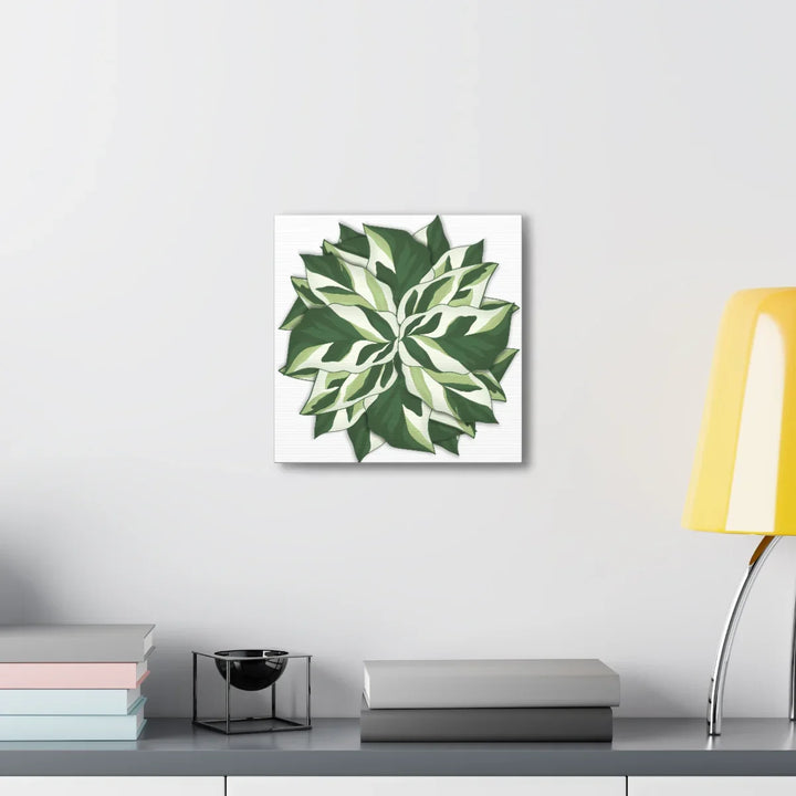 Calathea White Fusion Canvas | Indoor Wall Art - Matte Finish Botanical Canvas Art Print - Laura Christine Photography & Design