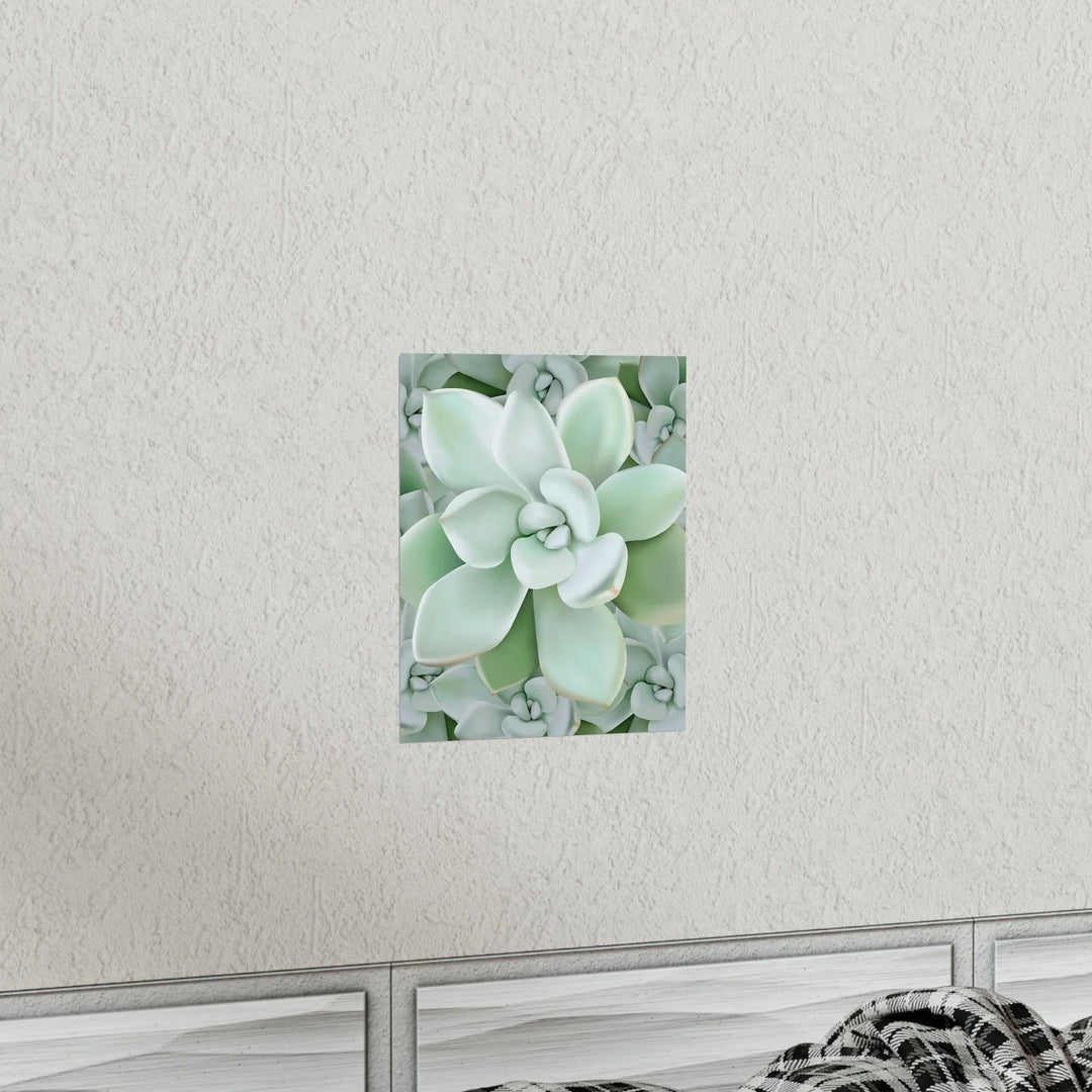 Pachyveria Haagei Succulent Pattern Print, Poster, Printify, Back to School, Home & Living, Indoor, Matte, Paper, Posters, Valentine's Day promotion, Laura Christine Photography & Design, laurachristinedesign.com