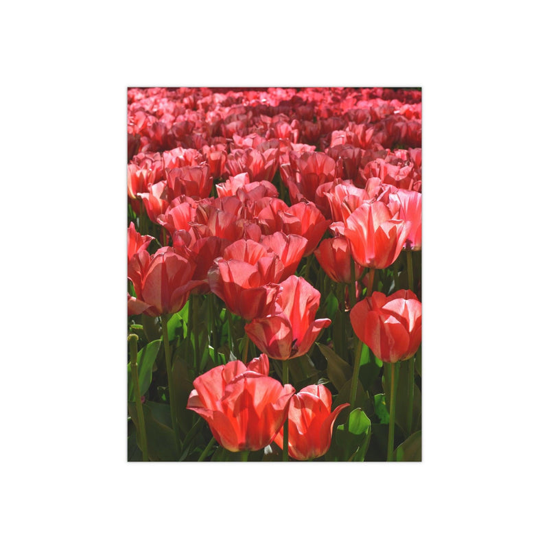 Pink impression tulips - Photo Poster, Poster, Printify, Art & Wall Decor, Home & Living, Paper, Poster, Posters, Laura Christine Photography & Design, laurachristinedesign.com