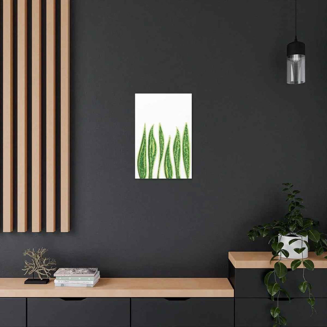 Snake Plant Canvas | Botanical Canvas Decor - Matte Finish Artwork for Living Room