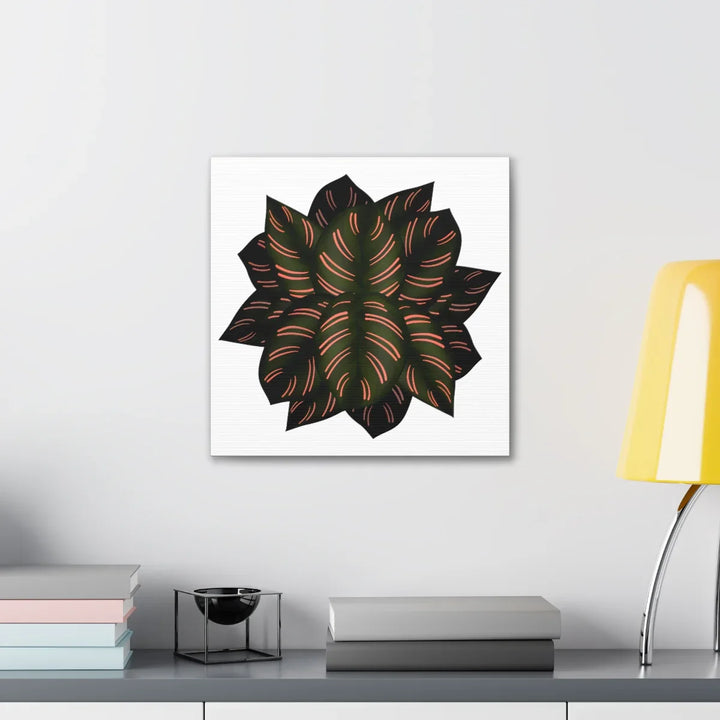 Calathea Pinstripe Canvas – Botanical Canvas Art Print | Matte Finish Wall Decor