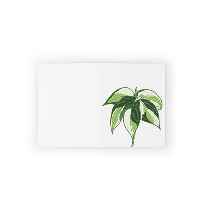 Philodendron 'Cream Splash' Greeting Card, Paper products, Printify, Greeting Card, Holiday Picks, Home & Living, Paper, Postcard, Postcards, Laura Christine Photography & Design, laurachristinedesign.com