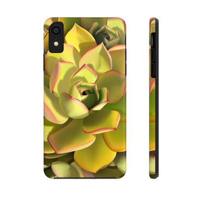 Noble Aeonium Succulent Phone Case, Phone Case, Printify, Accessories, Glossy, iPhone Cases, Matte, Phone accessory, Phone Cases, Samsung Cases, Laura Christine Photography & Design, laurachristinedesign.com