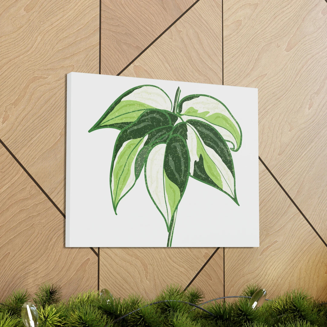Philodendron Canvas Print - Cream Splash Variegated Plant Art on Matte Cotton Canvas