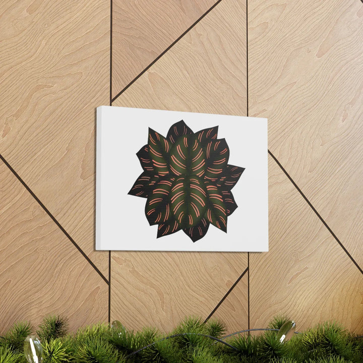 Calathea Pinstripe Canvas – Botanical Canvas Art Print | Matte Finish Wall Decor